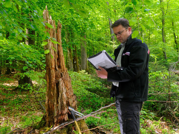 Wenn Sie die Kachel-Navigation anklicken gelangen Sie zum Themenbereich 'Privatwaldbetreuung durch Landesforsten'.